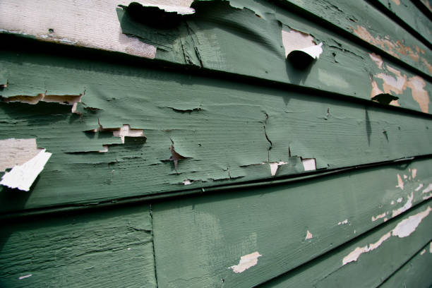 Best Fascia and Soffit Installation  in Bremen, GA