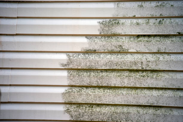 Best Engineered Wood Siding  in Bremen, GA