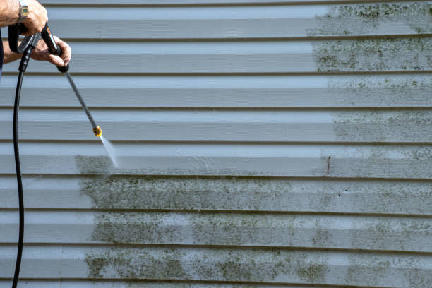 Best Composite Siding  in Bremen, GA