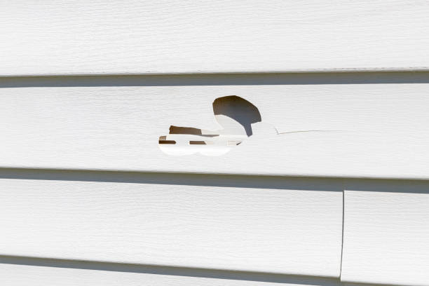 Best Custom Trim and Detailing for Siding  in Bremen, GA