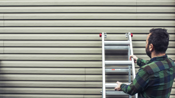 Best Brick Veneer Siding  in Bremen, GA