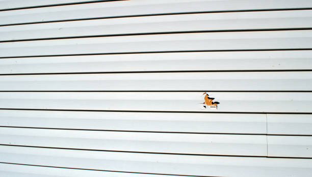Best Fiber Cement Siding Installation  in Bremen, GA